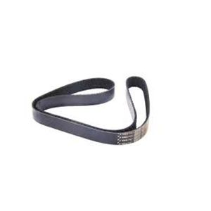 Correia de Borracha para Motor - Case 48036448