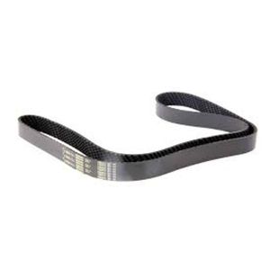 Correia - CASE 48036452